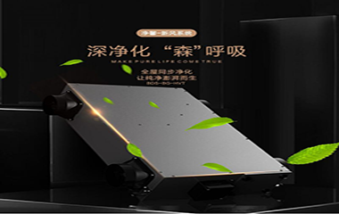 巴迪斯新品——黑金·系列,即將登場